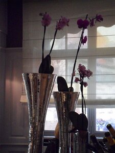 20160204_SAM_7898_ES71